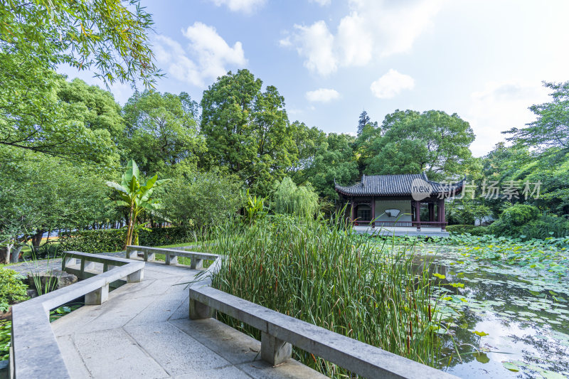 武汉东湖湖北书画院风景