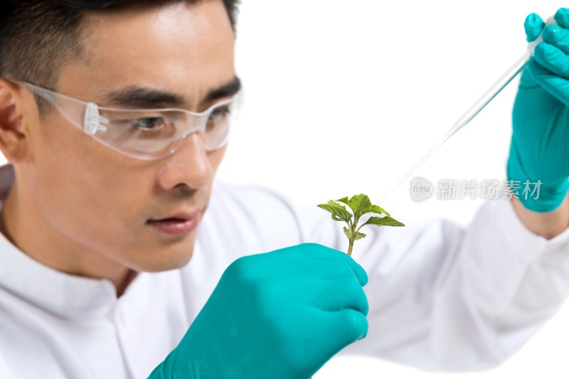 男科学家研究观察植物幼苗