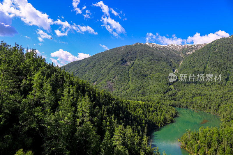 夏季新疆喀纳斯月亮湾森林河流