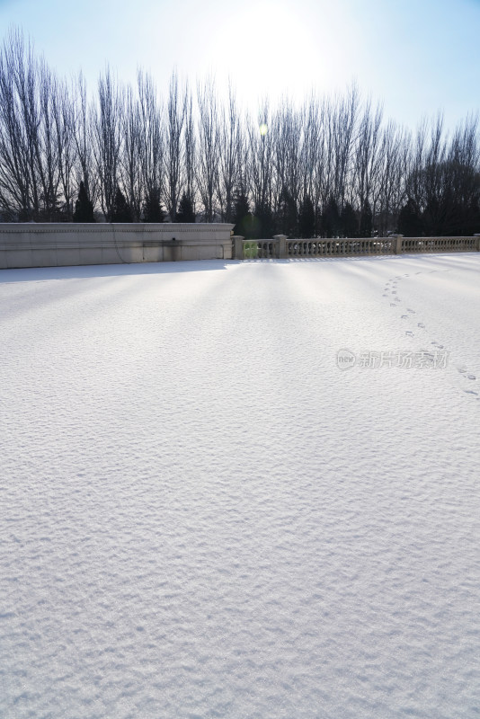 雪景