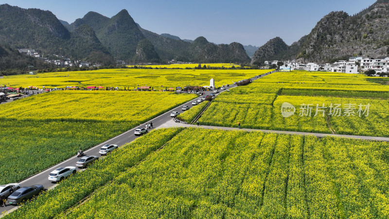 金色田园风光  油菜花海与村落