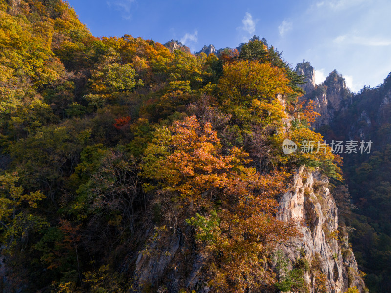 南阳老界岭秋景风光