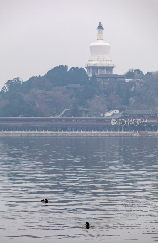 北京北海公园白塔建筑景观