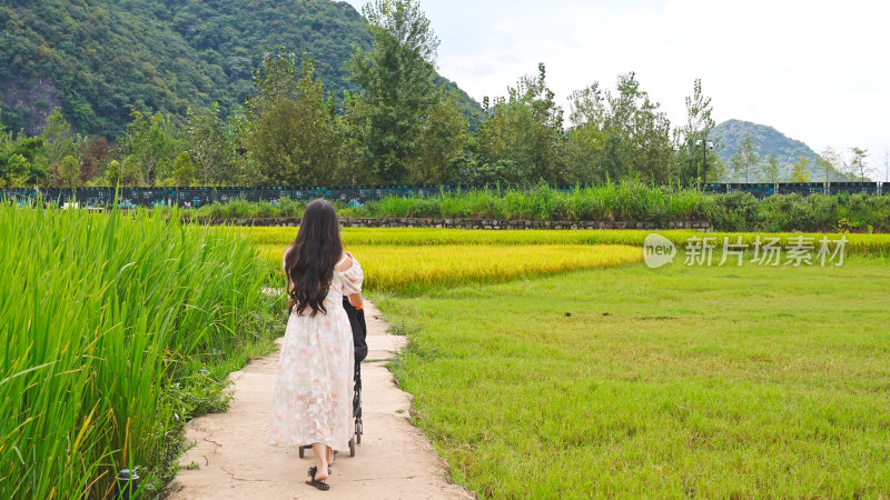 女子推婴儿车漫步田园小道