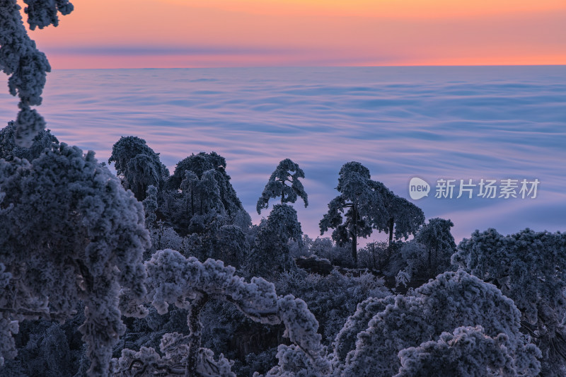 安吉桐杭岗森林雪景云海日落霞光