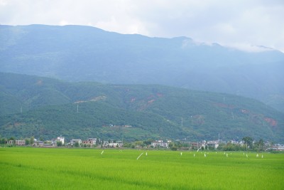 田野乡村与远山风景