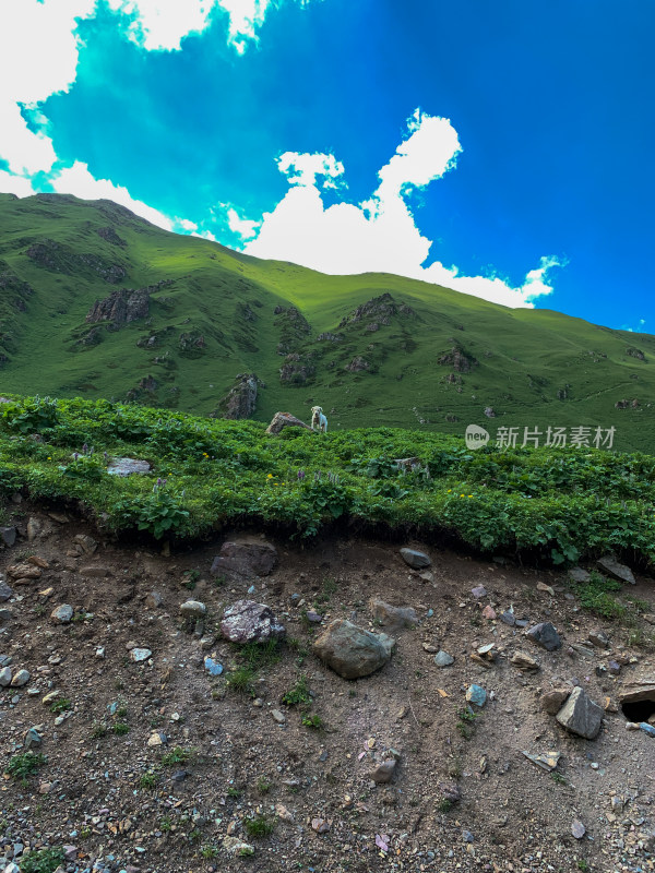 中国新疆伊犁那拉提草原旅游风光