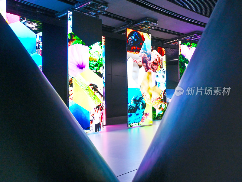 展览馆室内彩色显示屏展示场景