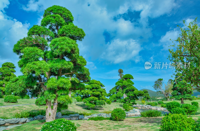 越南芽庄珍珠岛园林花园绿树草坪自然风光