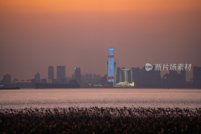 长兴岛眺望上海宝山滨江长滩观光塔夜景