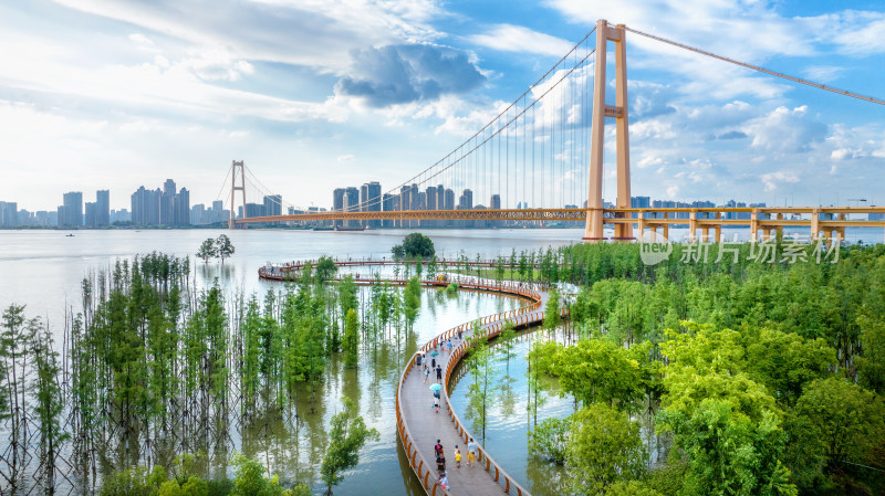 武汉江滩夏季湿地公园水上栈道