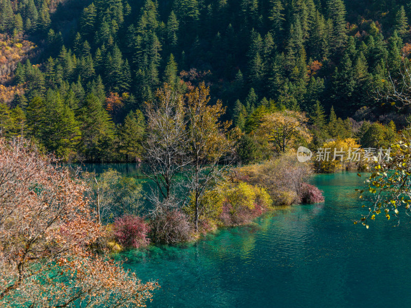 九寨沟秋景