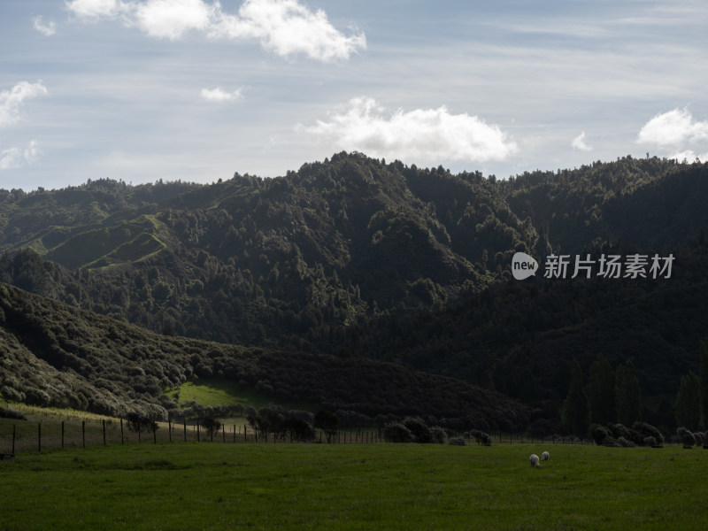 新西兰深山里的农场