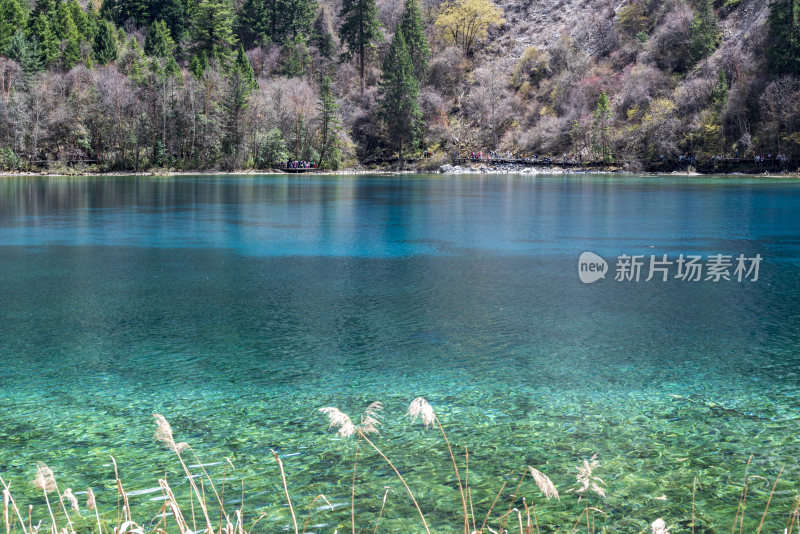 九寨沟五花海色彩斑斓的水