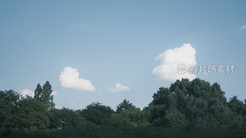 天空云朵衬托着风景的树木