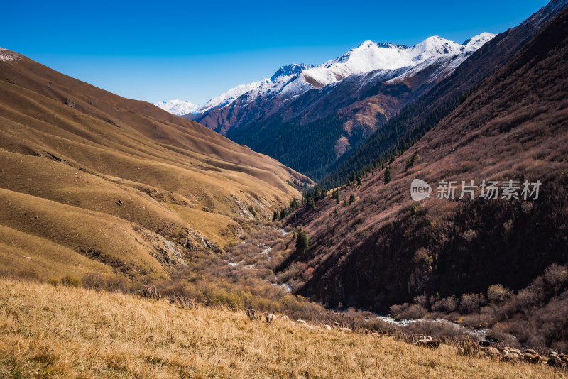 新疆天山山脉雪山山峰山脉