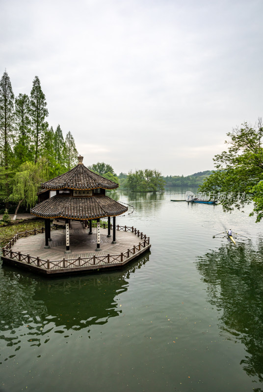 杭州西湖茅家埠黛色参天自然风景景观