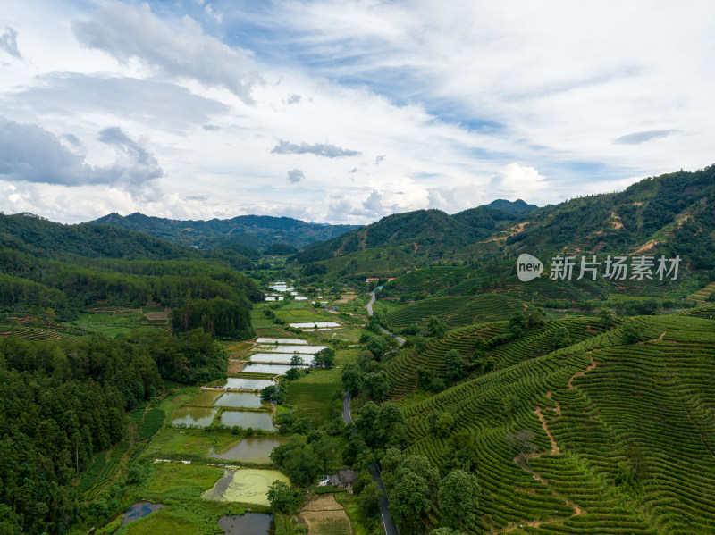 航拍武夷山绿色农田与茶园