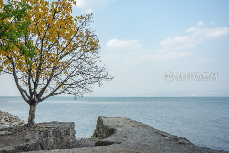 云南抚仙湖䘵充风景区风景风光