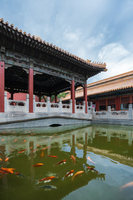 中国北京故宫博物院御花园的金鱼池