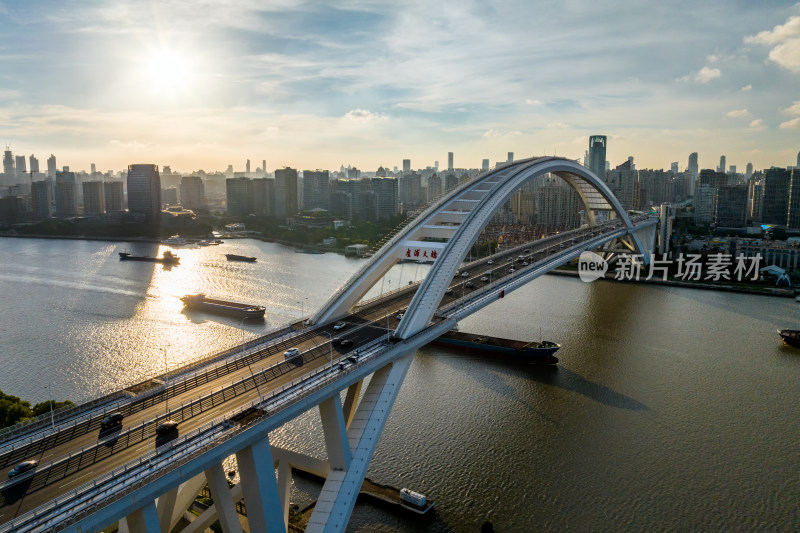 卢浦大桥 上海跨江大桥