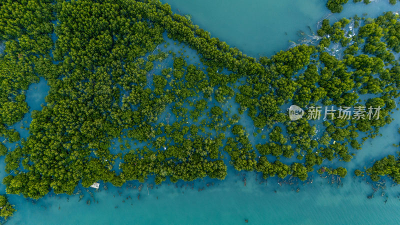 惠东县盐洲海洋湿地公园