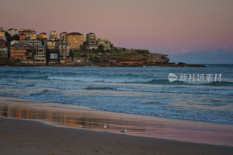 悉尼邦迪沙滩，bondi beach，日落与倒影