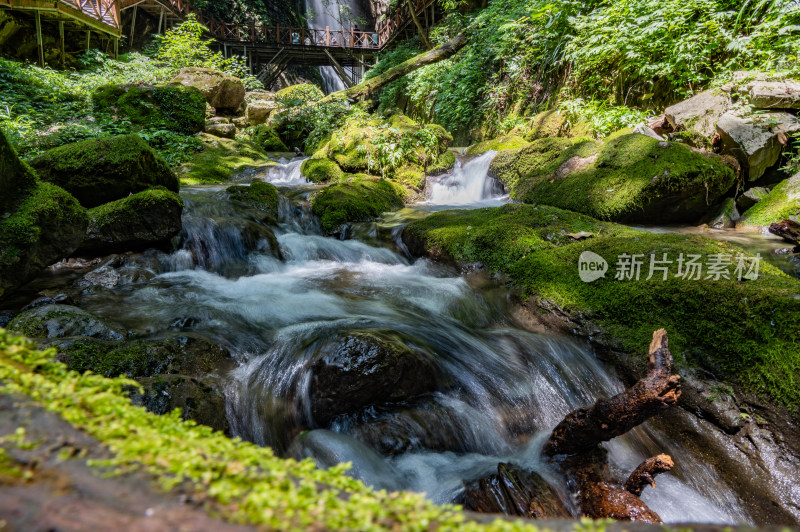 湖北 襄阳  保康县 五道峡 森林 瀑布