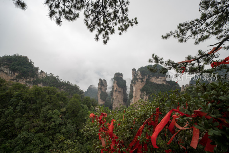 云雾缭绕的张家界奇峰异石景观