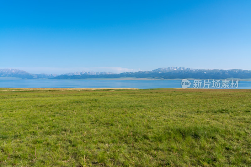 夏天绿草茵茵的新疆赛里木湖畔