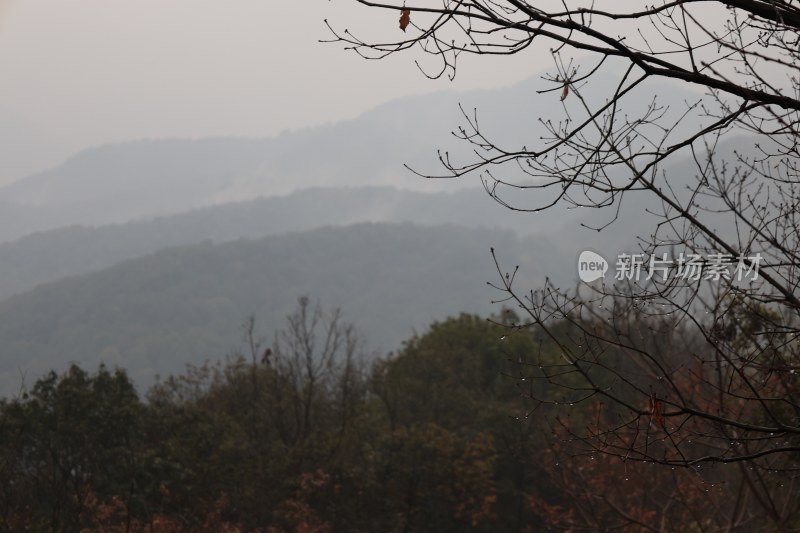 雾中山林远景