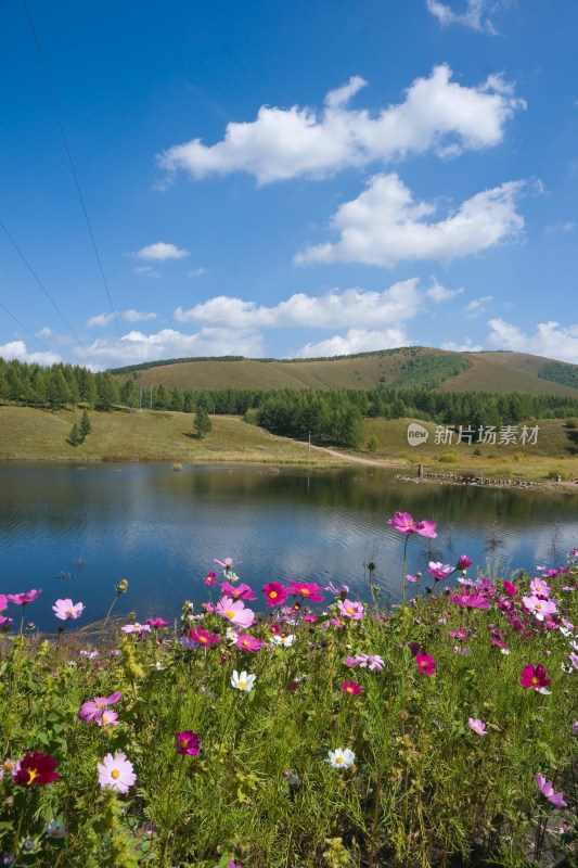 河北承德坝上草原