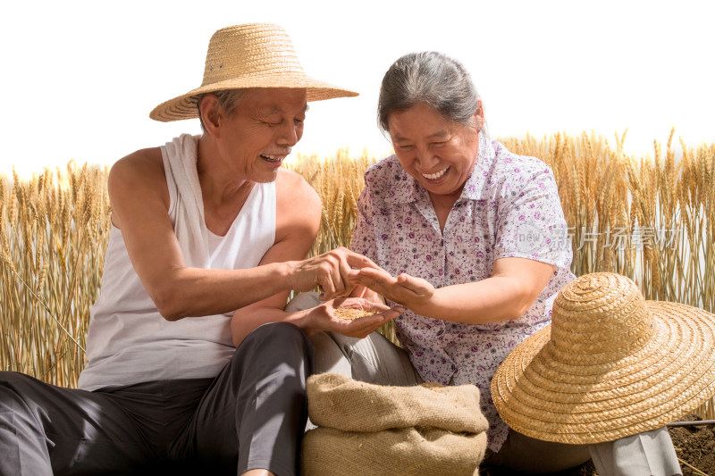 老年夫妇捧着稻谷