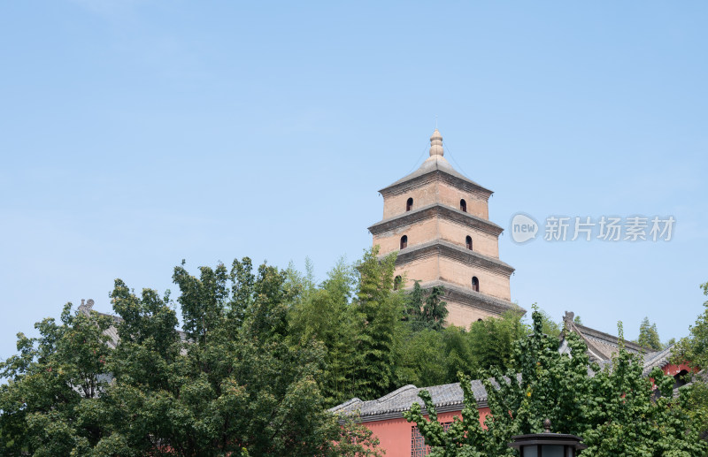 陕西西安晴朗天气的大慈恩寺大雁塔