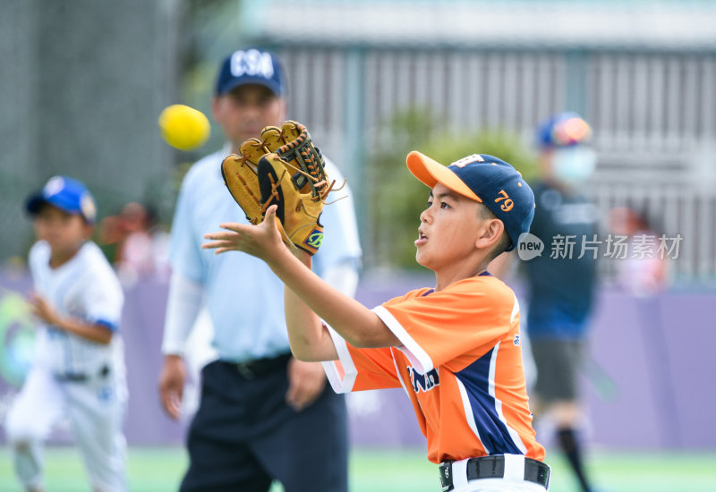 青少年棒垒球