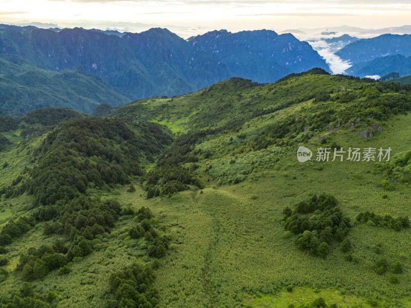 湖北神农顶云海航拍摄影图