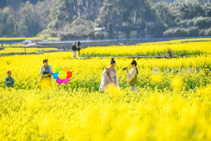 金黄花海  春天油菜花海美如画