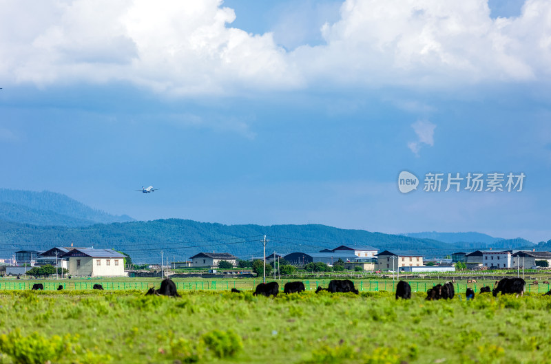 香格里拉纳帕海景区