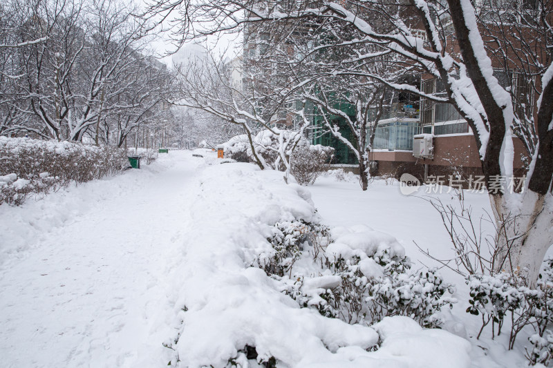 大雪后小区屋外厚厚的积雪雪景