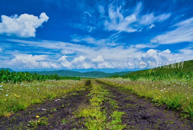 新疆伊犁那拉提草原旅游景区山区公路