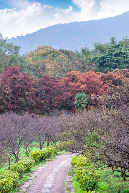 南京钟山风景名胜区明孝陵园林风景