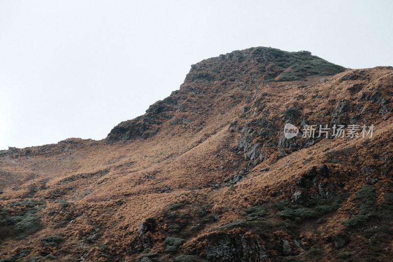 山坡自然景观