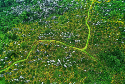 景德镇的高山花园