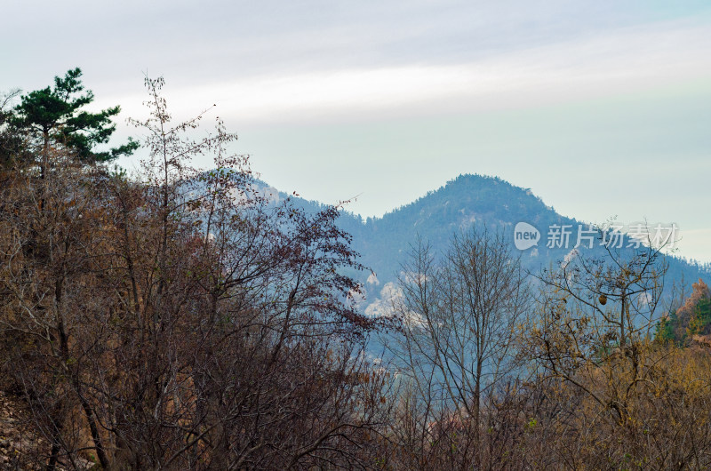 秋季青岛崂山北九水景区，山谷风光