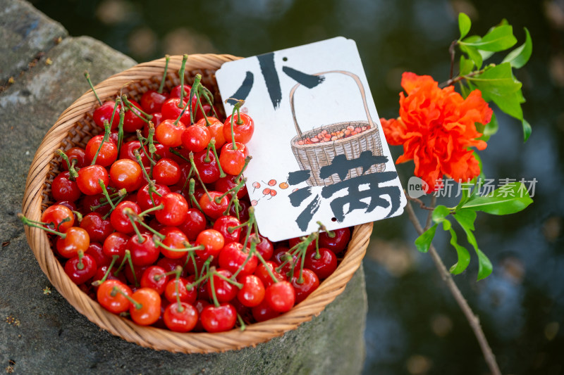 二十四节气之小满