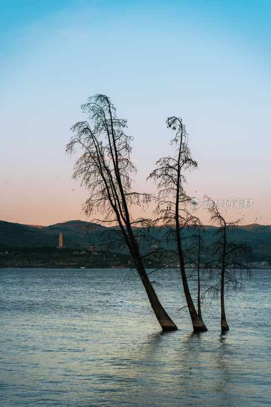 云南旅游大理洱海蒙自弥勒建水元阳梯田景区