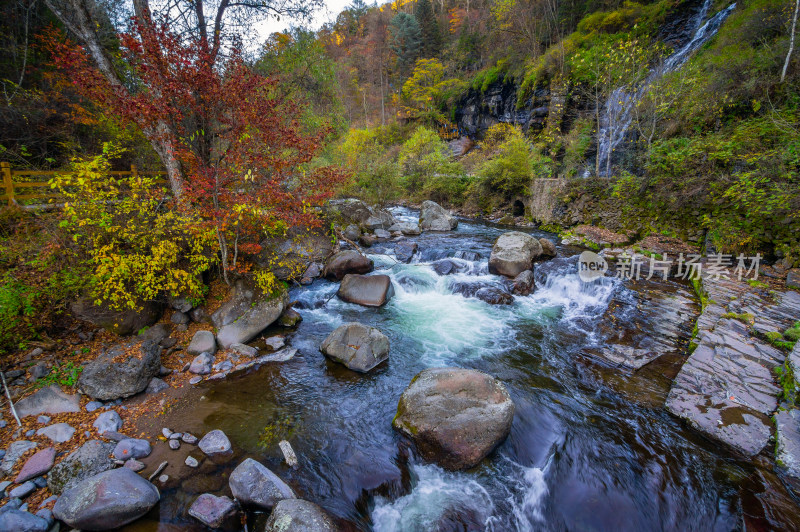 长白山望天鹅景区溪流秋色