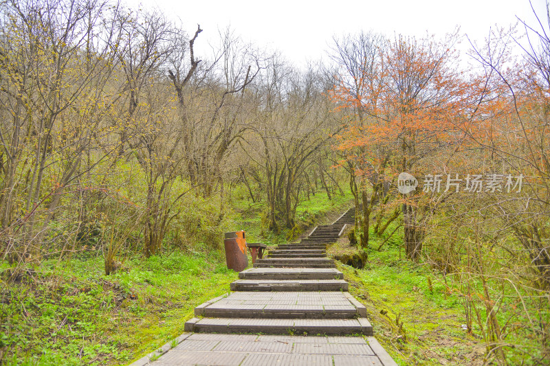 山间小路