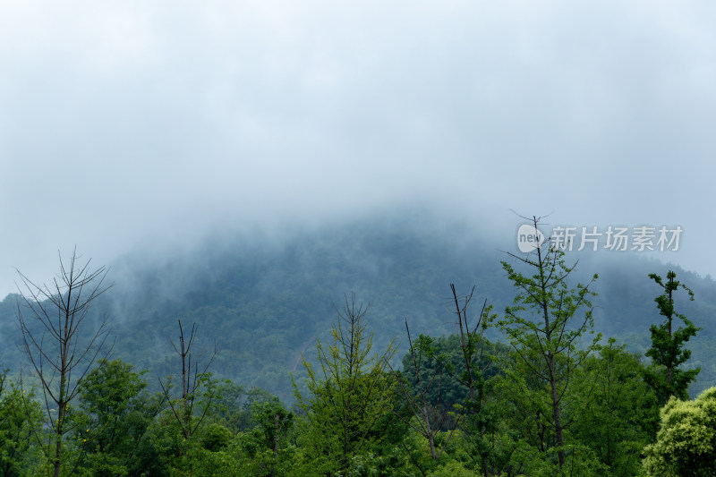 夏日雨后山间云雾缭绕