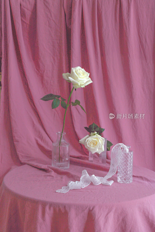 粉红色背景上的插花白色玫瑰花